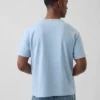 Adult Heavyweight Relaxed T-Shirt