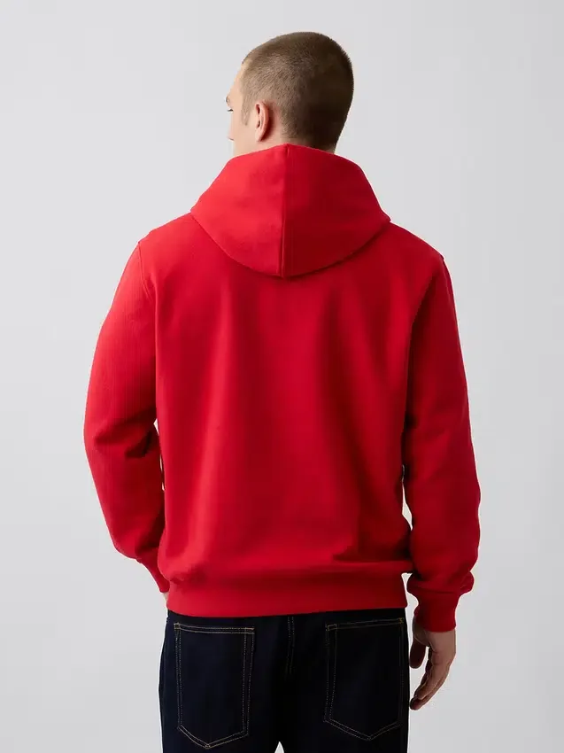 Adult Vintagesoft Arch Logo Hoodie