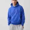 Adult Vintagesoft Nap Logo Hoodie