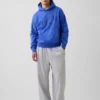 Adult Vintagesoft Nap Logo Hoodie