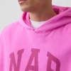 Adult Vintagesoft Nap Logo Hoodie