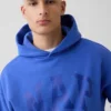 Adult Vintagesoft Nap Logo Hoodie