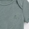 Baby First Favorites Tinyrib Bodysuit