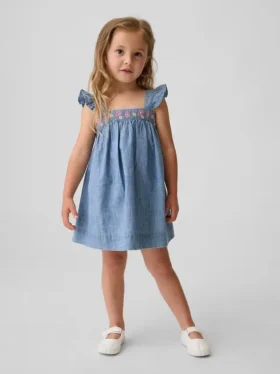 Baby & Toddler Embroidered Denim Dress