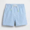 Baby & Toddler Seersucker Swim Trunks