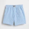 Baby & Toddler Seersucker Swim Trunks