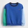 Baby & Toddler Vintagesoft Colorblock Sweatshirt