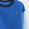Baby & Toddler Vintagesoft Colorblock Sweatshirt