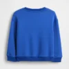 Baby & Toddler Vintagesoft Sweatshirt
