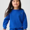 Baby & Toddler Vintagesoft Sweatshirt