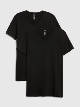 Classic V-Neck T-Shirt (2-Pack)