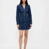 Denim Pleated Mini Dress