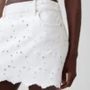 Embroidered Mini Skirt