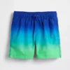Kids 3.5" Recycled Swim Trunks