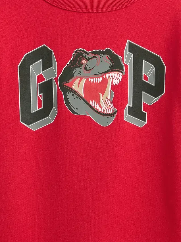 Kids Graphic Logo Sweatshirt