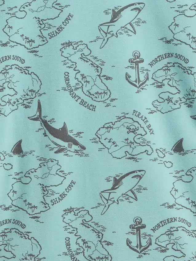 Kids Organic Brushed Cotton Pirate Map Pj Short Set