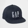 Organic Cotton Gap Logo Baseball Hat