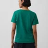 Organic Cotton Vintagesoft V-Neck T-Shirt