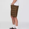 Plaid Canvas Shorts