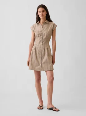 Poplin Stripe Cinched Mini Shirtdress