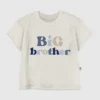 Toddler Big Brother Graphic T-Shirt