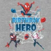 Toddler Spiderman Birthday Hero Graphic T-Shirt