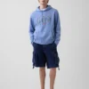 Vintagesoft Oversized Americana Logo Hoodie